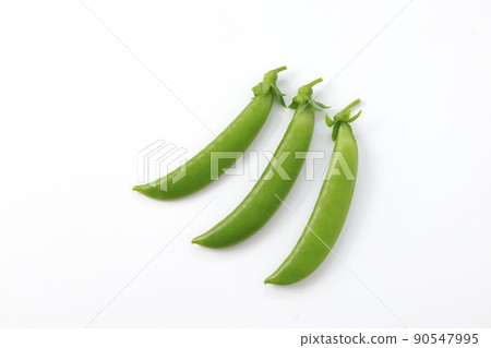 Pea 90547995