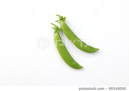 Pea Pea 90548000