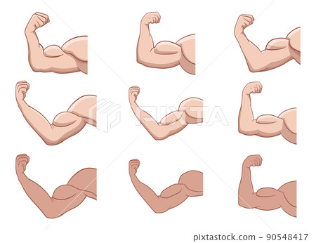 Muscle arm vector design illustration isolated on white background Muscle arm vector design illustration isolated on white background 90548417
