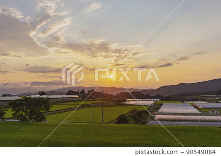 210719 上野平 z024 210719 上野平 z024 90549084
