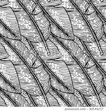 Banana leaf engraving seamless pattern. Retro monochrome tropical leaves in hand drawn style. Banana leaf engraving seamless pattern. Retro monochrome tropical leaves in hand drawn style. 90549257