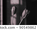 Indoor image of monochrome tulips 90549862