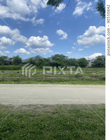 鴨川野餐 90550842