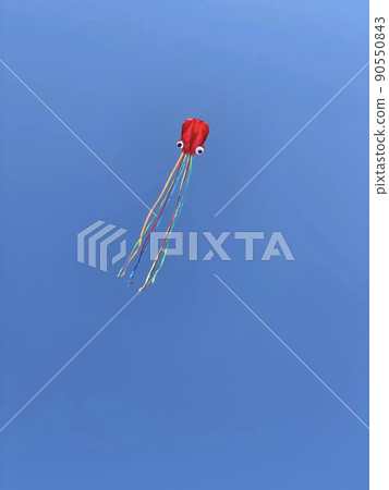 Octopus octopus 90550843