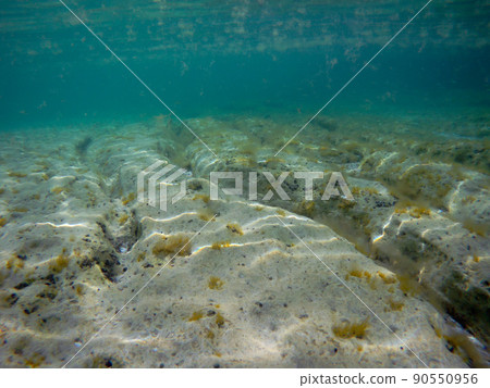 Underwater landscape in the sea. Caspian Sea. 90550956