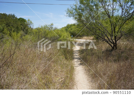 San Antonio Park, Texas View San Antonio Park, Texas View 90551110