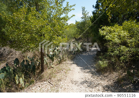 Texas San Antonio Trail Course 90551116