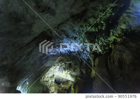Shuhohora Shuhohora 90551976