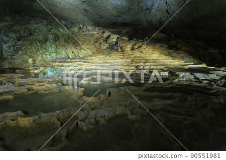 Shuhohora Shuhohora 90551981