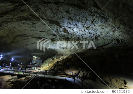 Shuhohora Shuhohora 90551983