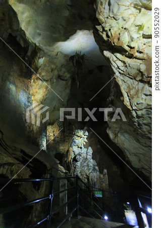 Shuhohora Shuhohora 90552029
