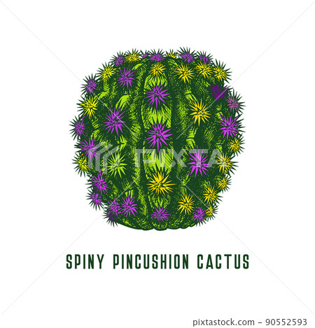 Spiny pincushion cactus icon, hand drawn sketch. Spiny pincushion cactus icon, hand drawn sketch. 90552593
