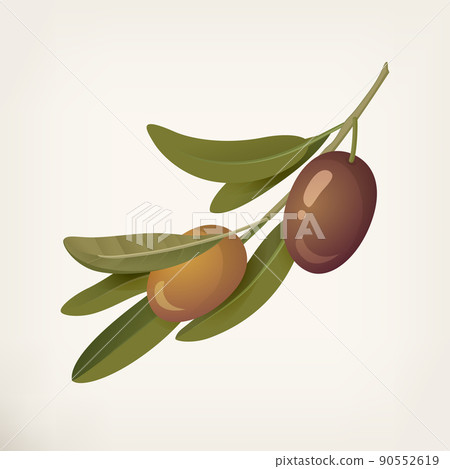 Purple green olives, greek olives almond shape. Purple green olives, greek olives almond shape. 90552619