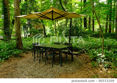 Resting place in the forest Resting place in the forest 90553209