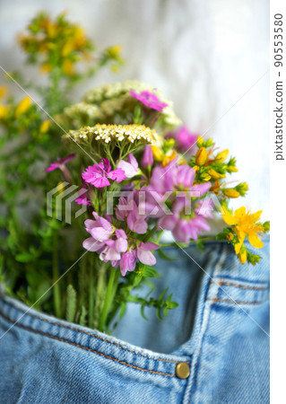 Beautiful tender flowers in front pocket of jeans Beautiful tender flowers in front pocket of jeans 90553580