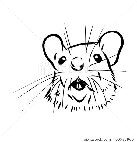 Rat sketch drawn by hand. Black and white vector illustration. Rat sketch drawn by hand. Black and white vector illustration. 90553969