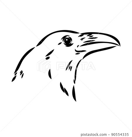 Hand-drawn black crow. Raven, bird sketch, vector illustration 90554335