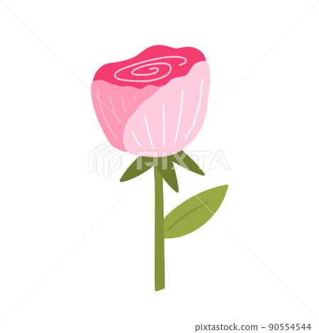 Cute pink rose with leaves isolated on white Cute pink rose with leaves isolated on white 90554544