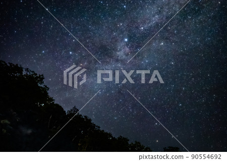 Summer starry sky and milky way Summer starry sky and milky way 90554692