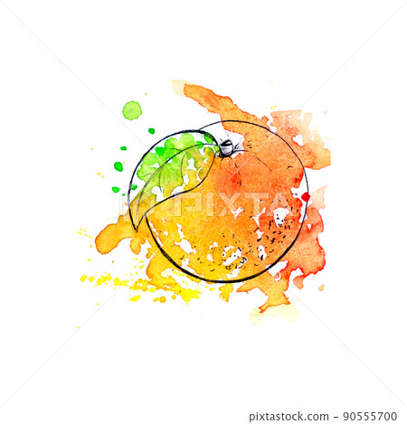 Orange watercolor on white background Hand drawn watercolor painting. Sketch orange branch, fabric design, template for packaging and stickers. 90555700
