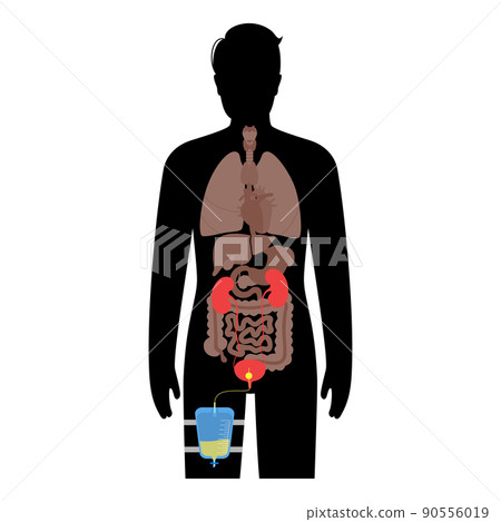 Urinary drainage bag Urinary drainage bag 90556019