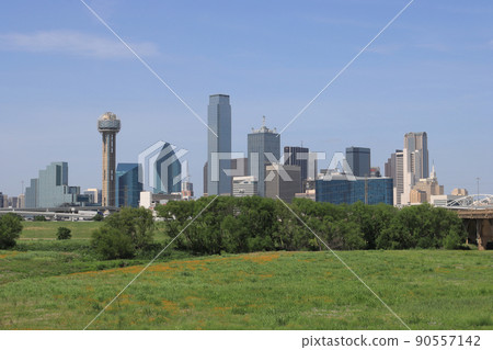 Downtown Dallas, Texas 90557142