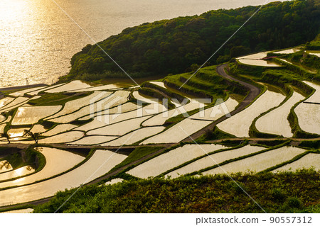 Sunset of Doya Rice Terraces [Matsuura City, Nagasaki Prefecture] 90557312