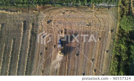 Harvest time in agriculture with equipment Harvest time in agriculture with equipment 90557324