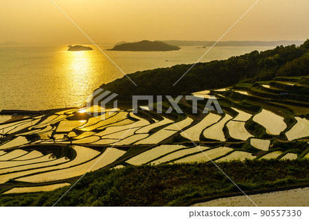 Sunset of Doya Rice Terraces [Matsuura City, Nagasaki Prefecture] 90557330