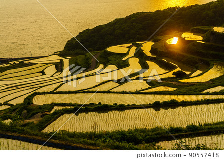 Sunset of Doya Rice Terraces [Matsuura City, Nagasaki Prefecture] 90557418