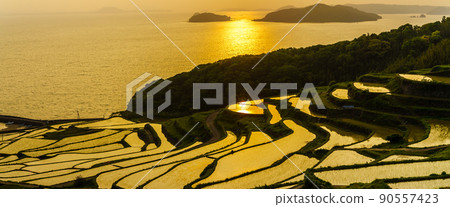 Doya Rice Terraces Sunset Panorama [Matsuura City, Nagasaki Prefecture] 90557423