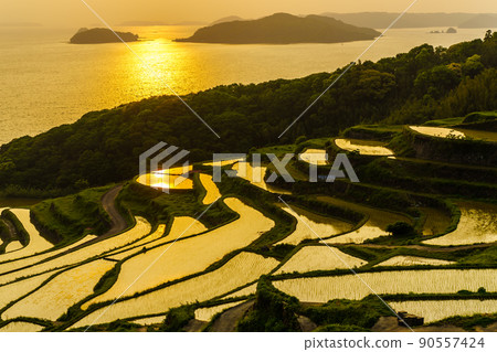 Sunset of Doya Rice Terraces [Matsuura City, Nagasaki Prefecture] 90557424