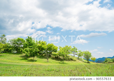 Yamanashi Prefecture Fresh Green Park 90557633