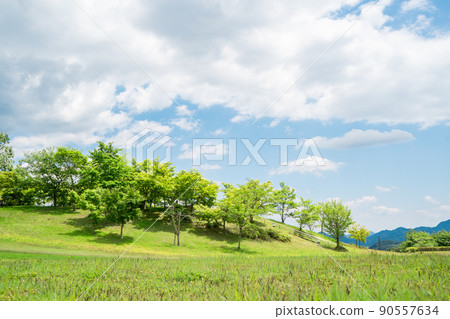 Yamanashi Prefecture Fresh Green Park 90557634