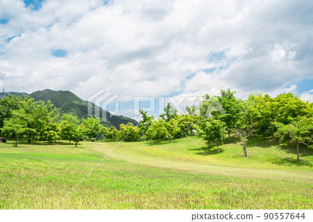 Yamanashi Prefecture Fresh Green Park 90557644