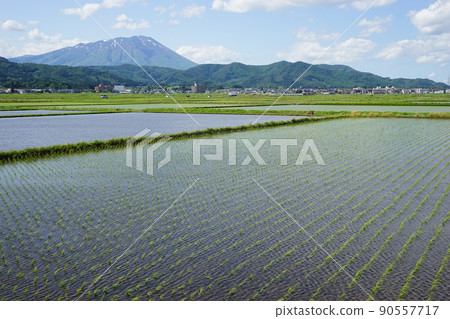Scenery seen from the rice fields of Takizawa Scenery seen from the rice fields of Takizawa 90557717