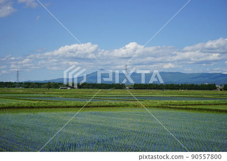從瀧澤的稻田看到的風景 90557800