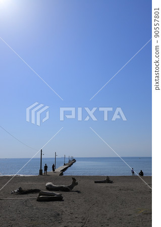 Haraoka Pier on the Haraoka coast 90557801
