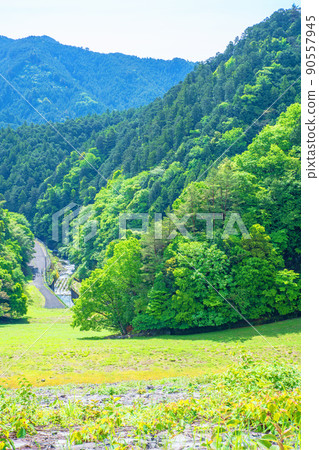 有馬大壩 Naguri 水壩下的湖景 春天 清新的綠色風景 有馬大壩 Naguri 水壩下的湖景 春天 清新的綠色風景 90557945