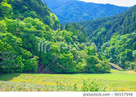 Arima Dam Naguri Lake View under the dam Spring Fresh green scenery Arima Dam Naguri Lake View under the dam Spring Fresh green scenery 90557948