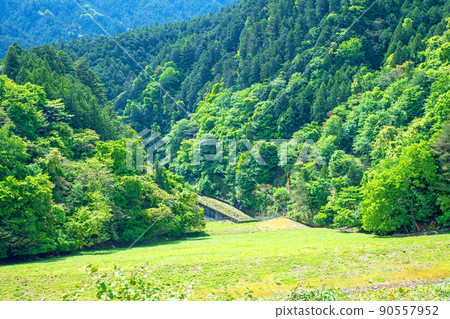 有馬大壩 Naguri 水壩下的湖景 春天 清新的綠色風景 有馬大壩 Naguri 水壩下的湖景 春天 清新的綠色風景 90557952
