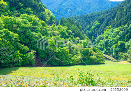 有馬大壩 Naguri 水壩下的湖景 春天 清新的綠色風景 有馬大壩 Naguri 水壩下的湖景 春天 清新的綠色風景 90558009