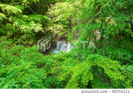 Arima River Arima Valley Spring Fresh green scenery Arima River Arima Valley Spring Fresh green scenery 90558222