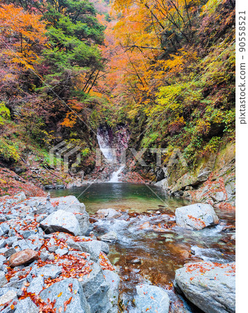 Ojiragawa Canyon(秋季):Sengabuchi Ojiragawa Canyon(秋季):Sengabuchi 90558521