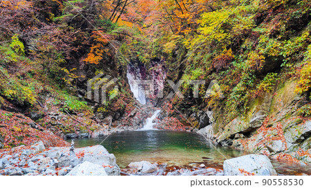 Ojiragawa Canyon（秋季）：Sengabuchi 90558530