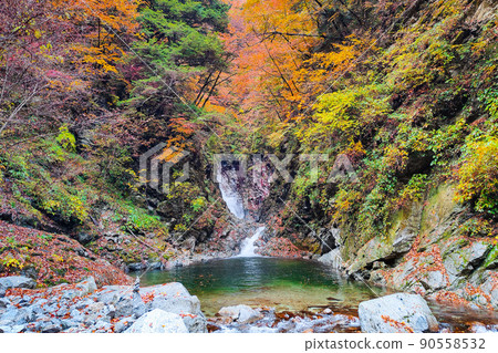 Ojiragawa Canyon (Autumn): Sengabuchi Ojiragawa Canyon (Autumn): Sengabuchi 90558532