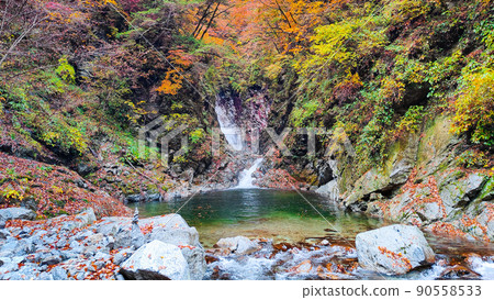 Ojiragawa Canyon (Autumn): Sengabuchi Ojiragawa Canyon (Autumn): Sengabuchi 90558533