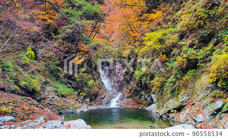 Ojiragawa Canyon (Autumn): Sengabuchi Ojiragawa Canyon (Autumn): Sengabuchi 90558534