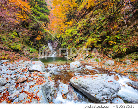 Ojiragawa Canyon(秋季):Sengabuchi Ojiragawa Canyon(秋季):Sengabuchi 90558535