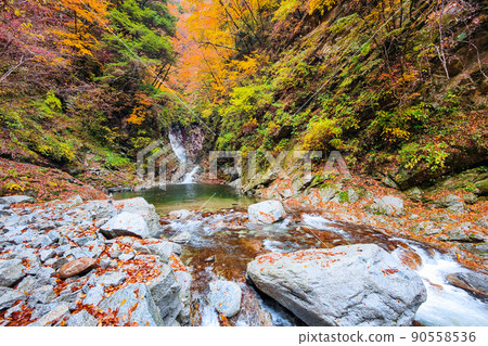 Ojiragawa Canyon(秋季):Sengabuchi Ojiragawa Canyon(秋季):Sengabuchi 90558536